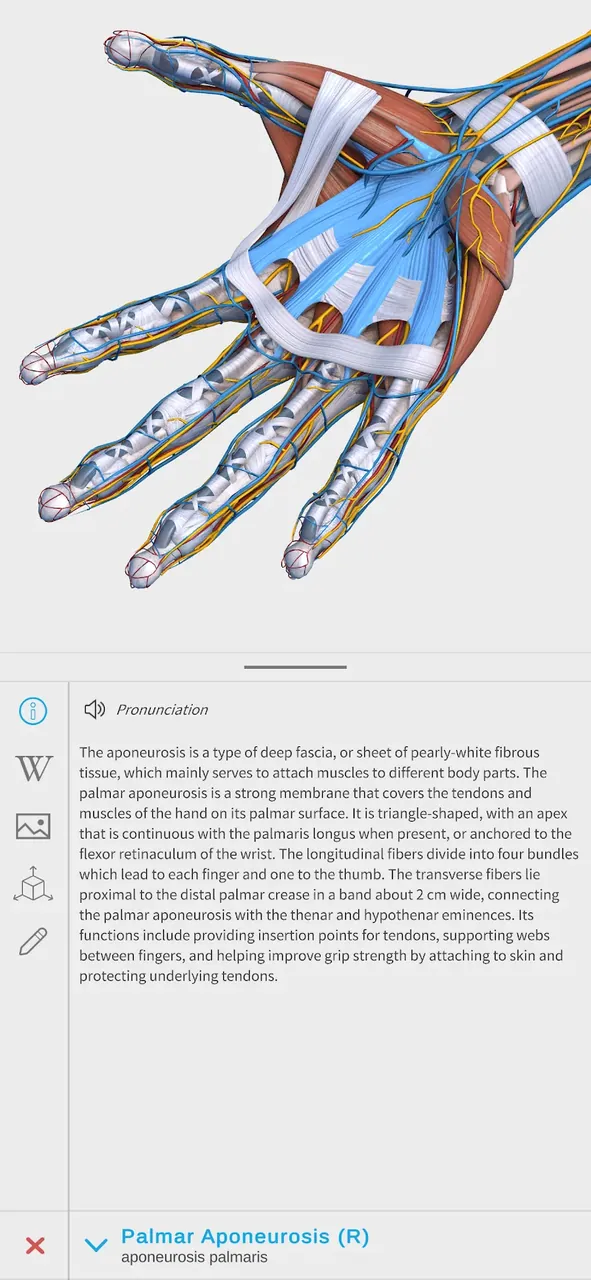 Visual Anatomy 3D captura de pantalla dentro de la aplicación 3
