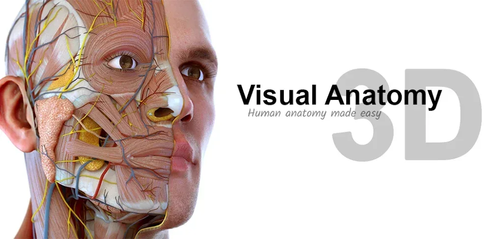 Visual Anatomy 3D captura de pantalla dentro de la aplicación 1