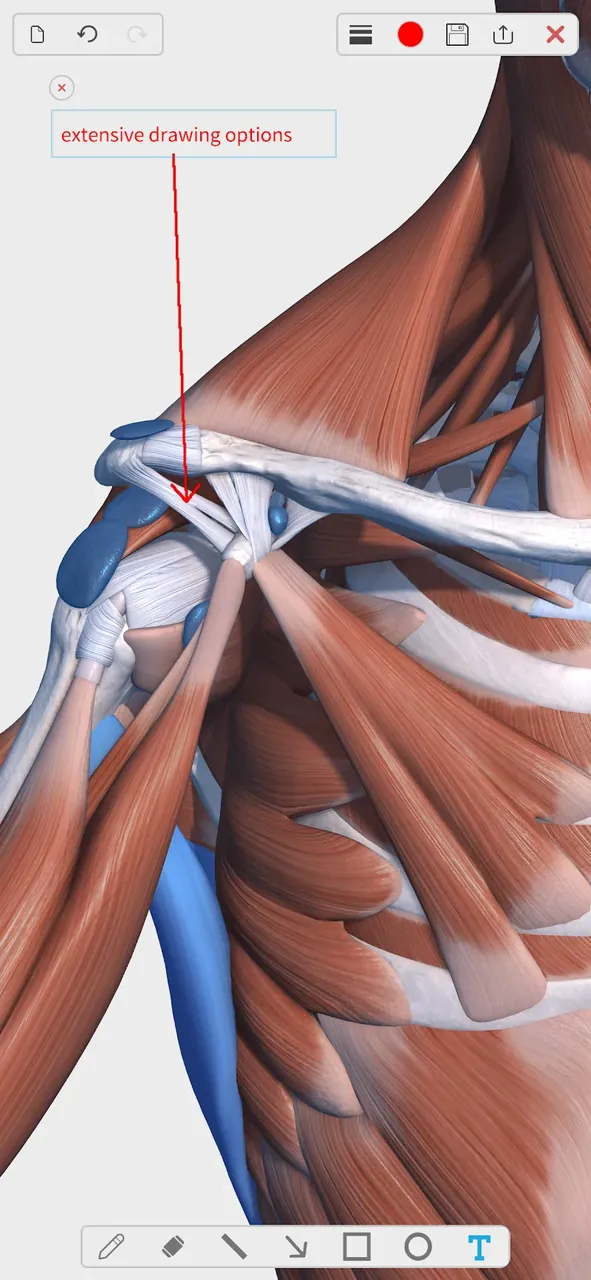 Visual Anatomy 3D captura de pantalla dentro de la aplicación 6