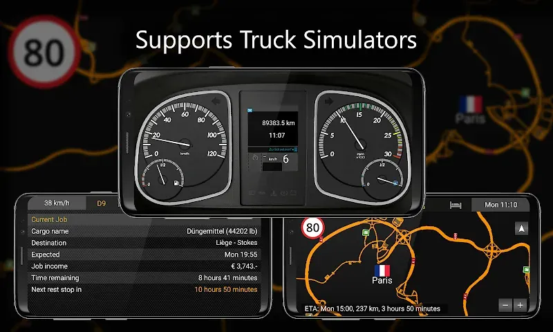 Capture d'écran des jauges de SIM Dashboard 4