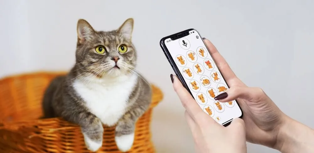 Aperçu 1 de Human to Cat Translator