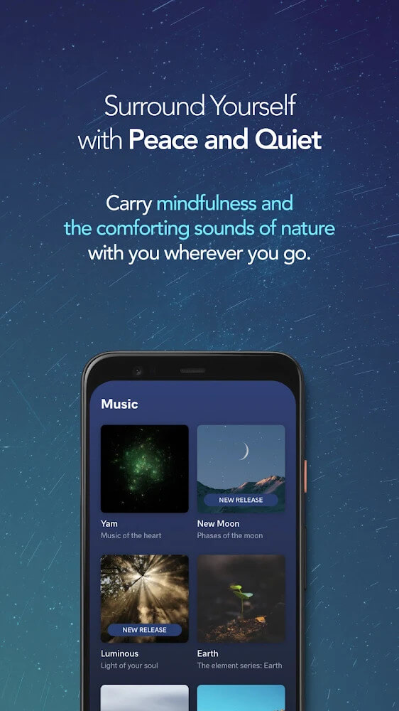 Aperçu de l'interface de Meditopia 4