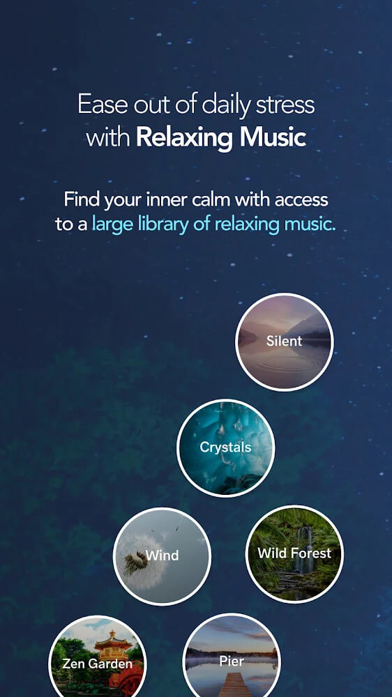 Aperçu de l'interface de Meditopia 5