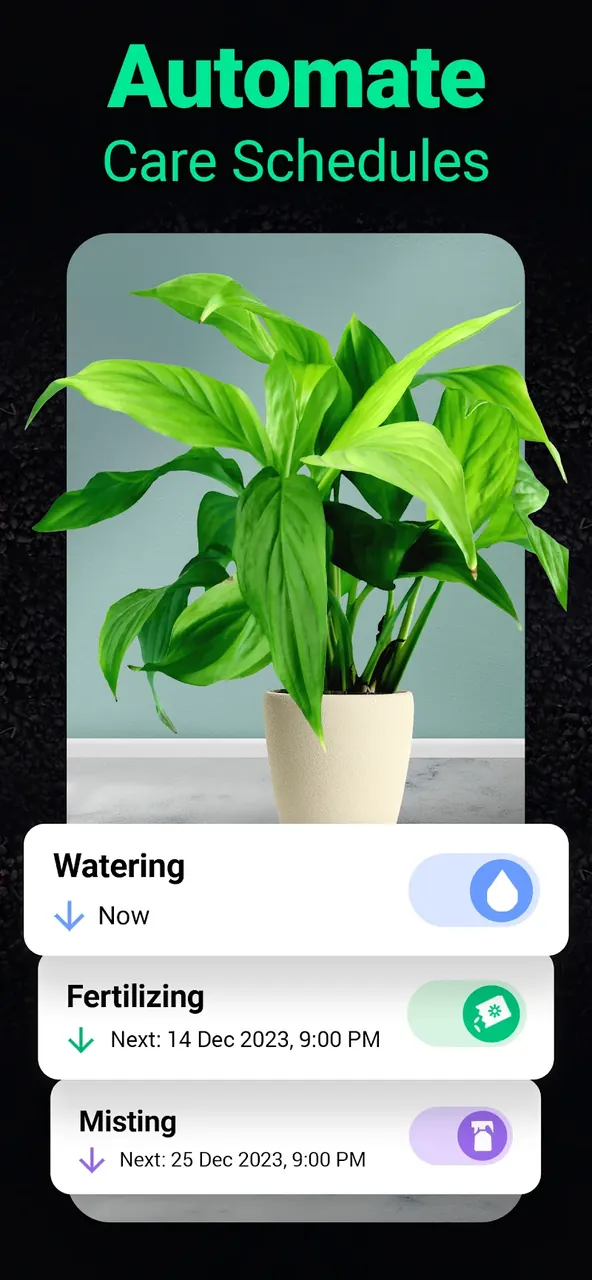 Capture d'écran de l'application Plantum 4