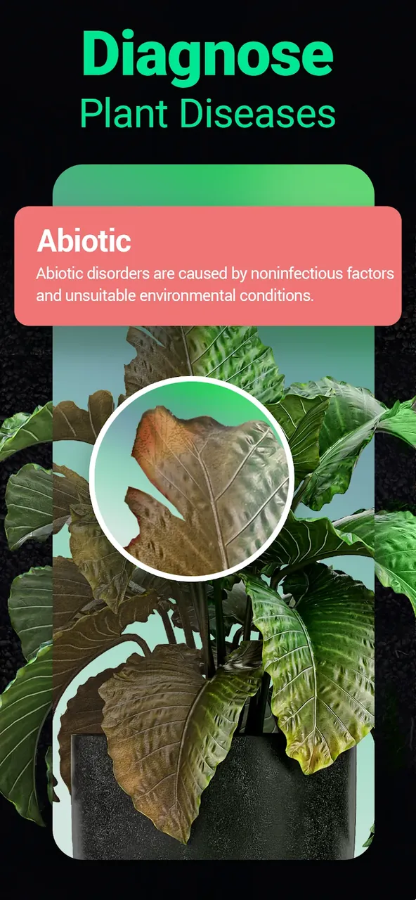 Capture d'écran de l'application Plantum 3