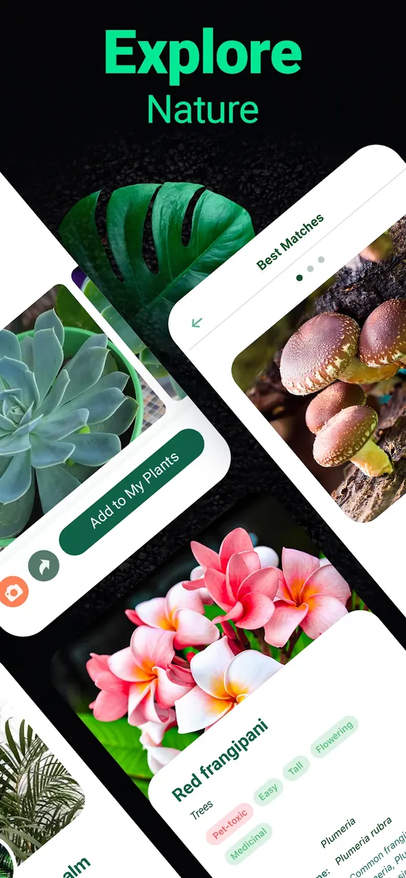 Capture d'écran de l'application Plantum 5