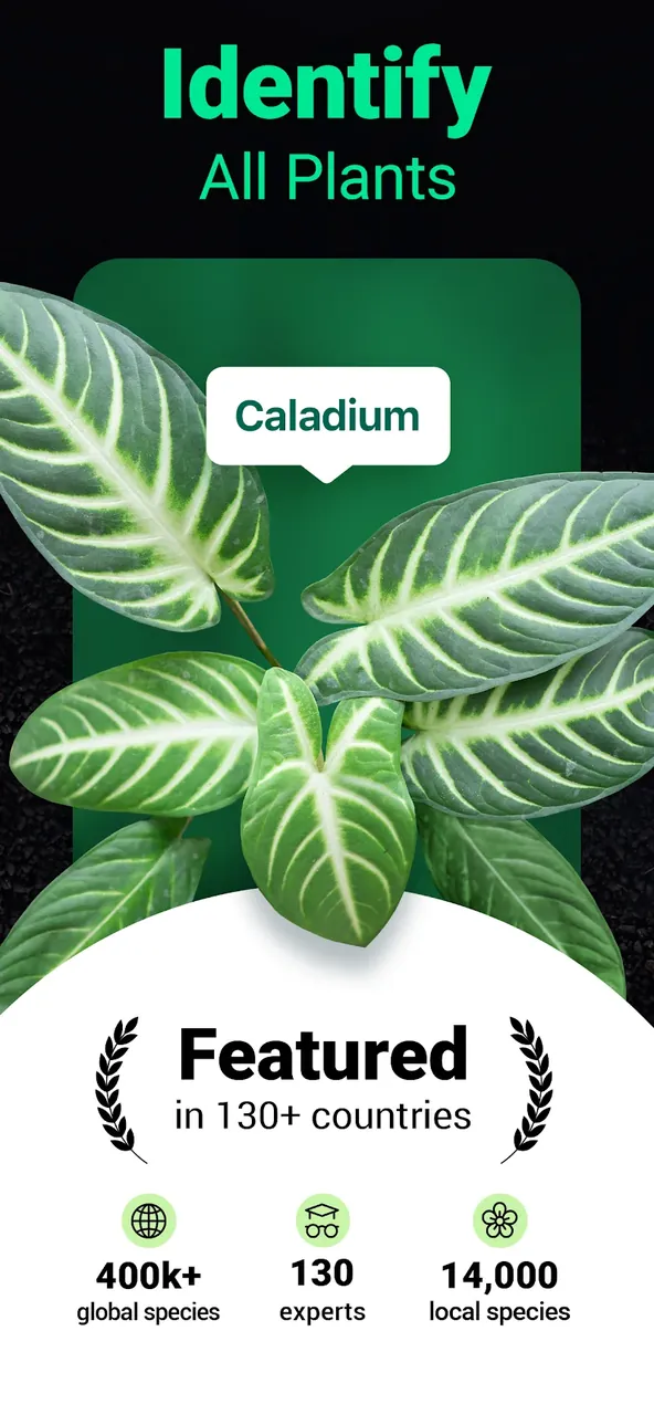 Capture d'écran de l'application Plantum 2