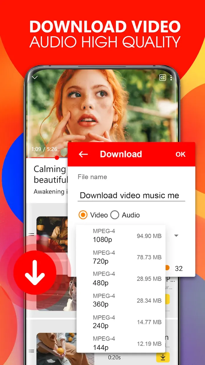 Aperçu de l'application Tube Video Downloader 5