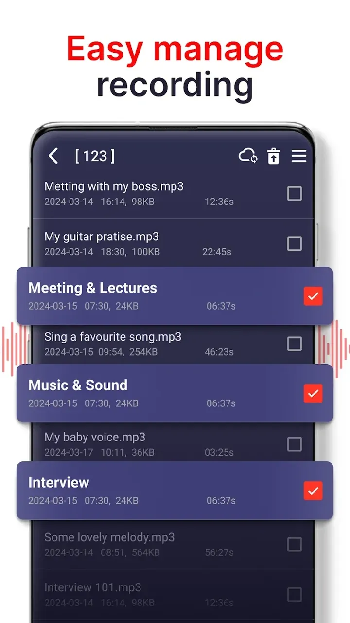Aperçu de l'application Voice Recorder 3