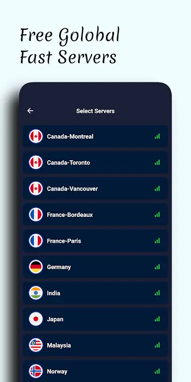 Capture d'écran de l'application Raid VPN 5