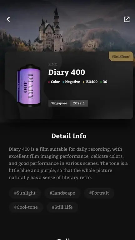 Aperçu 7 de FIMO - Analog Camera