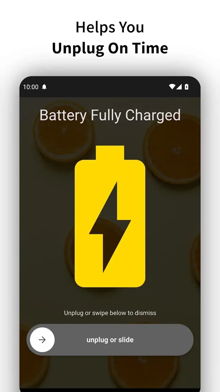 Capture d'écran 4 de Full Battery Charge Alarm