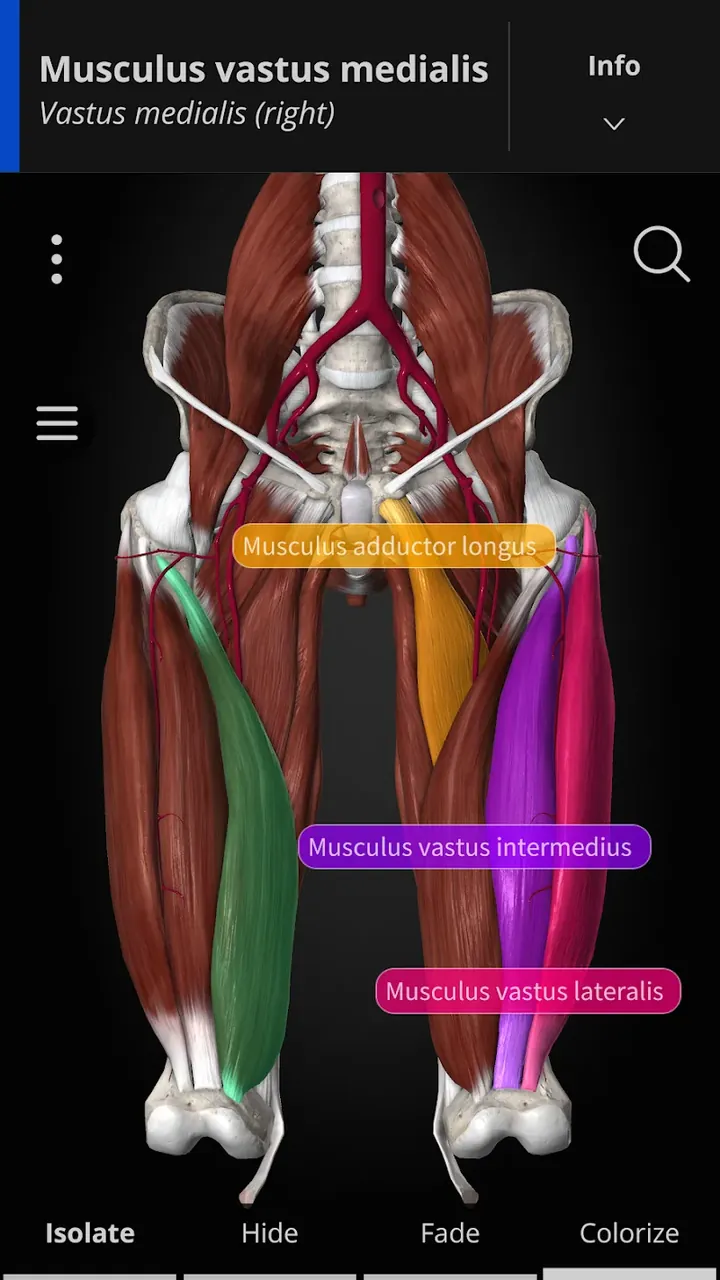 Anatomyka - 3D Anatomy Atlas captura de tela 3