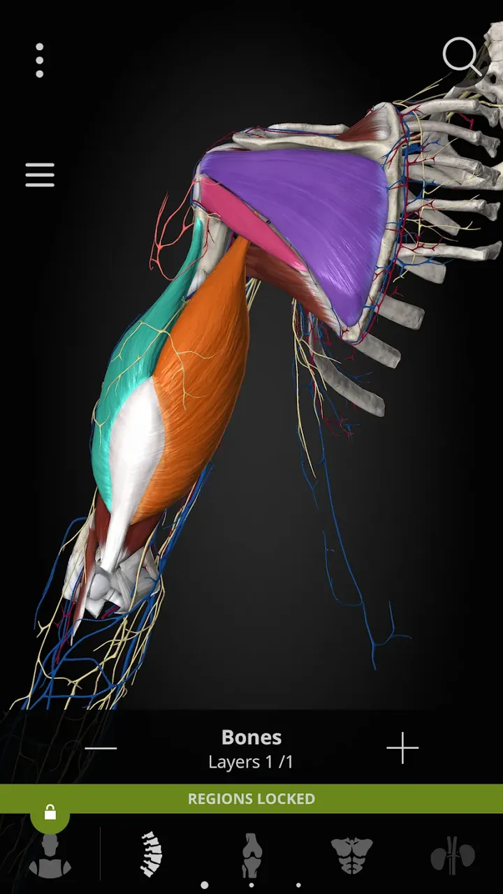 Anatomyka - 3D Anatomy Atlas captura de tela 5