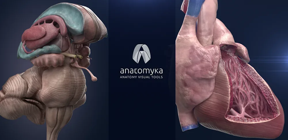 Anatomyka - 3D Anatomy Atlas captura de tela 1