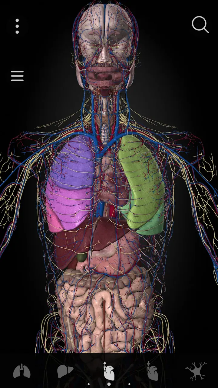 Anatomyka - 3D Anatomy Atlas captura de tela 4