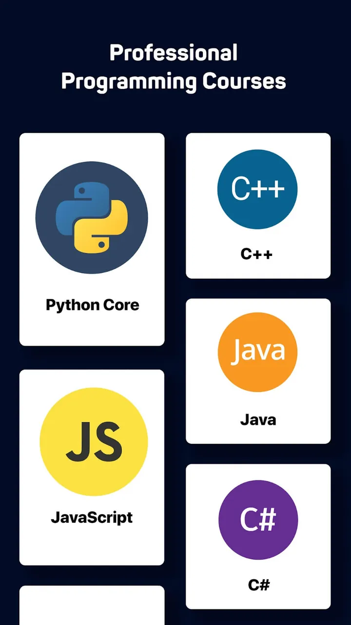 Aperçu de l'application Sololearn 3