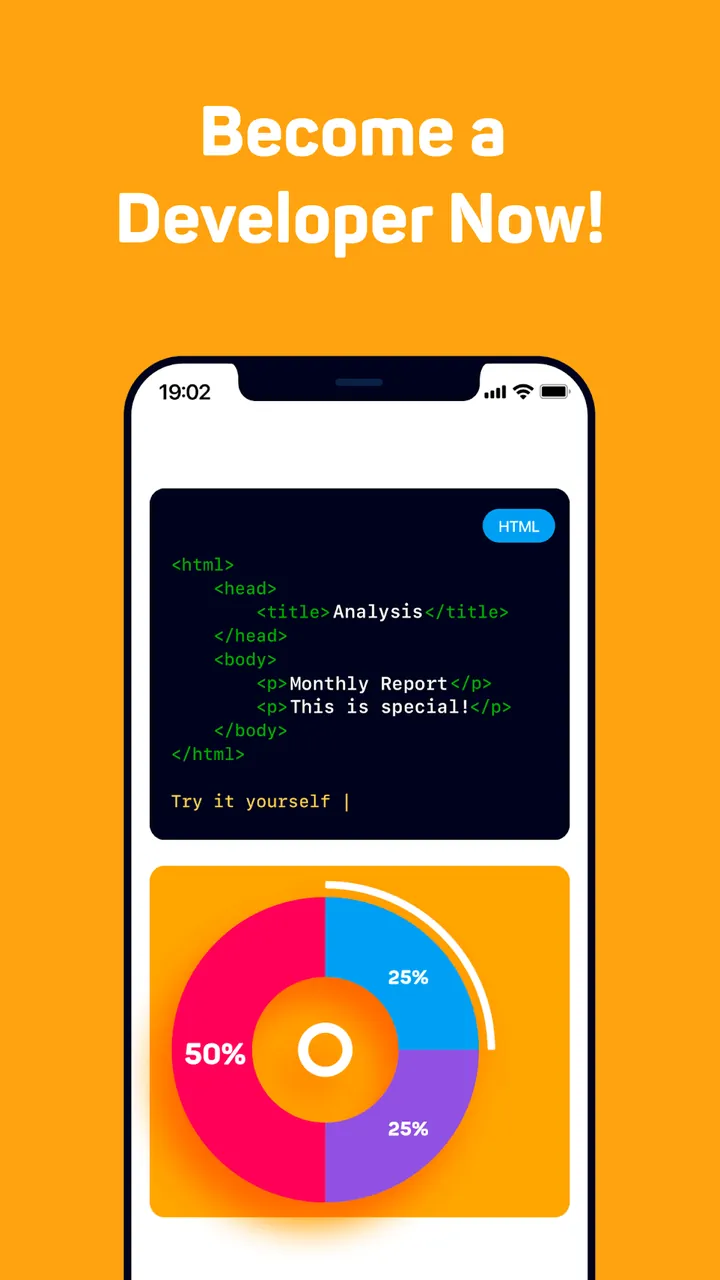 Aperçu de l'application Sololearn 2