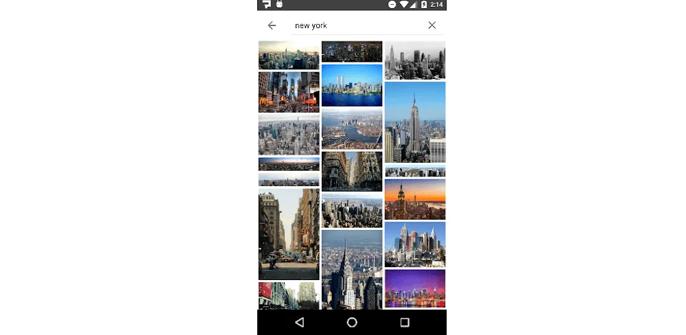 Aperçu de l'application ImageSearchMan 1