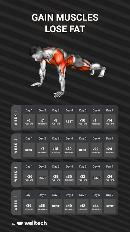 Aperçu de l'interface de l'application Muscle Booster 2