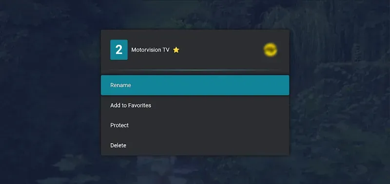 M3U IPTV interface preview 5