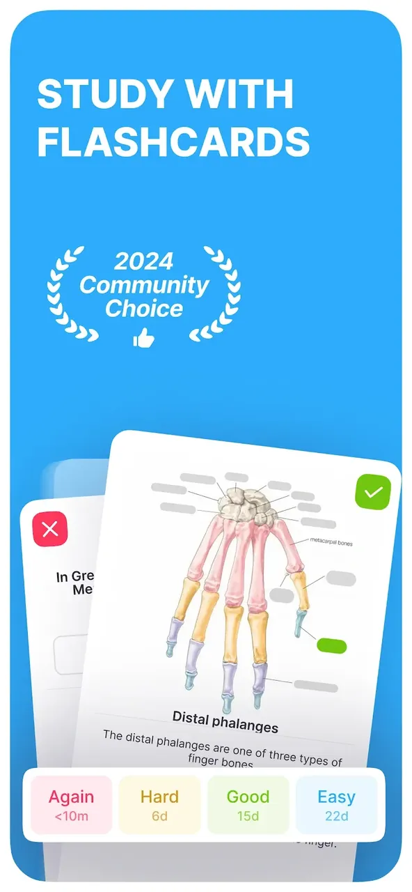 Image de présentation Noji : Étudiez avec des Cartes Mémoire 2