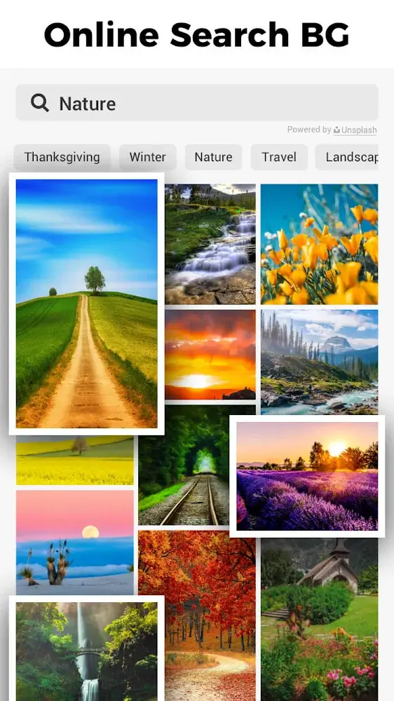Aperçu de l'application Background Eraser Photo Editor 4