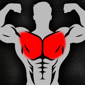 Gym Workout Tracker & Fitness