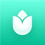 PlantIn: Plant Identification
