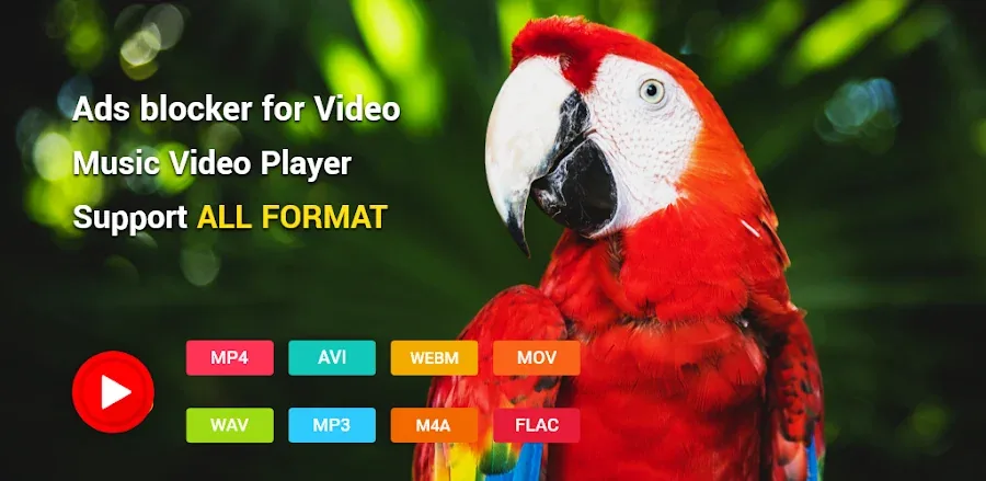 Capture d'écran de l'application wTuber 1
