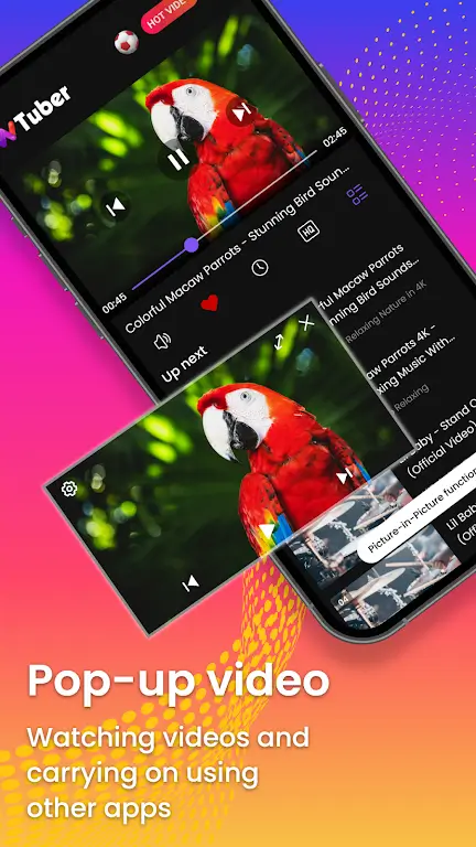 Capture d'écran de l'application wTuber 5