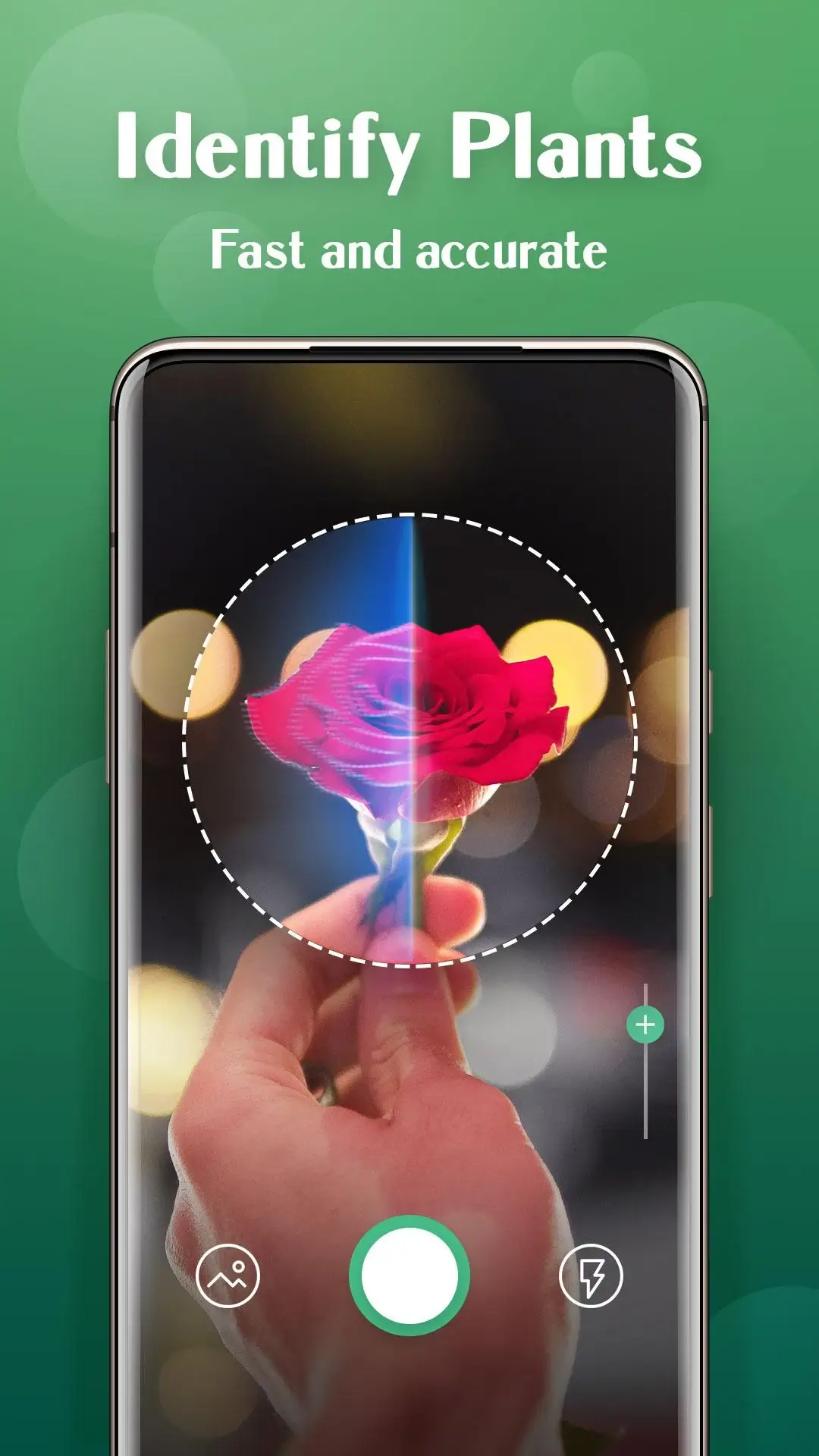 Plant Lens Identification de Plantes capture d'écran 2