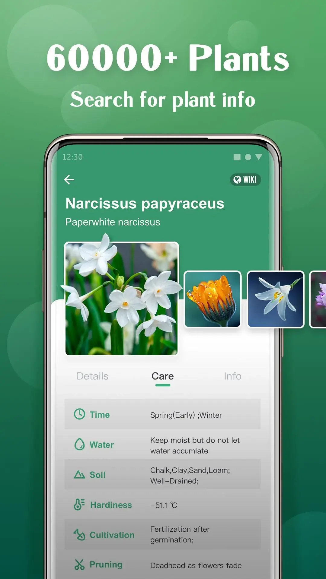 Plant Lens Identification de Plantes capture d'écran 3
