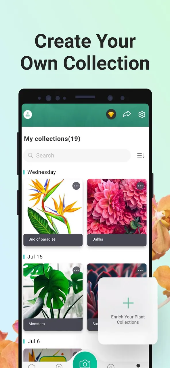 PictureThis - Plante 6