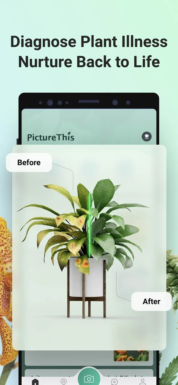 PictureThis - Plante 5