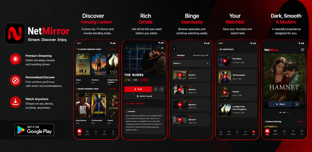Aperçu de l'interface de l'application Netmirror