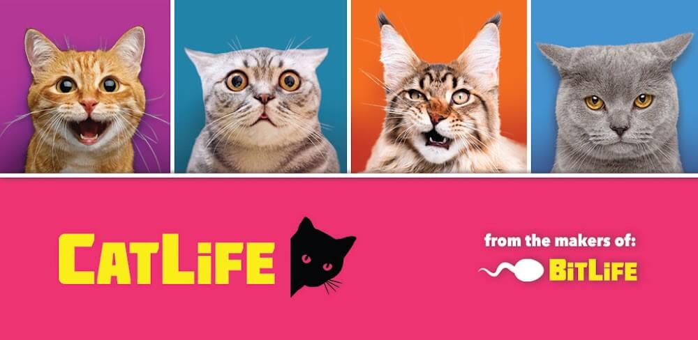 CatLife: BitLife Cats gameplay screenshot 1