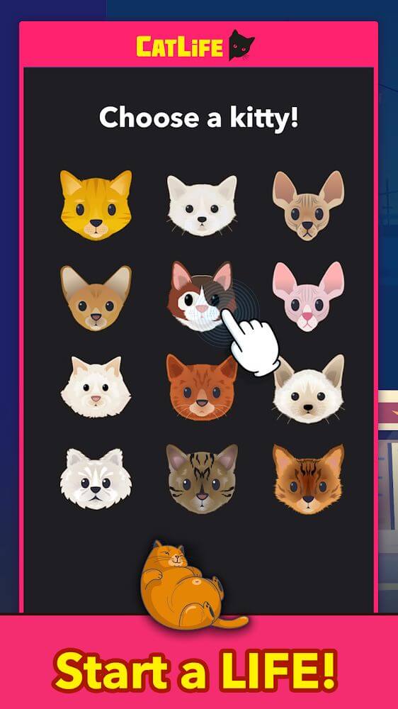 CatLife: BitLife Cats gameplay screenshot 7